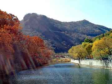 温岭最新土地拍卖，城市发展的新一轮热潮启动